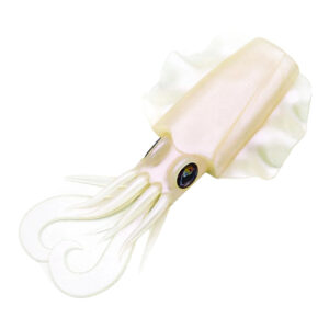 ΑΝΤΑΛΛΑΚΤΙΚΟ ΣΩΜΑ JLC Tokuri Body - PINK FLASHES