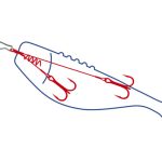 Dragon V-Lures Pike system Αρματωσιά 1