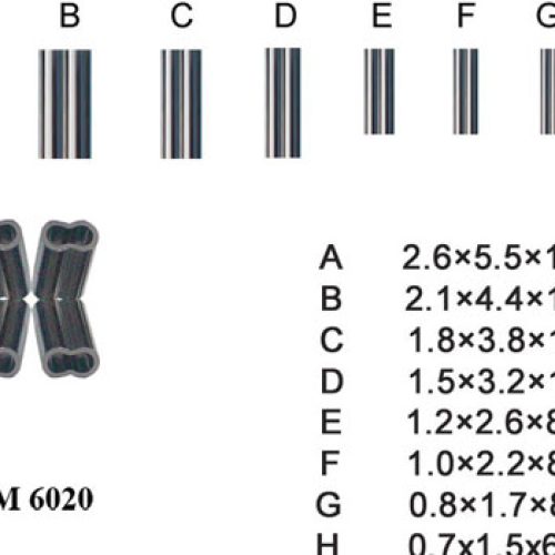 Remixon Σφιχτήρας Διπλός YM6020