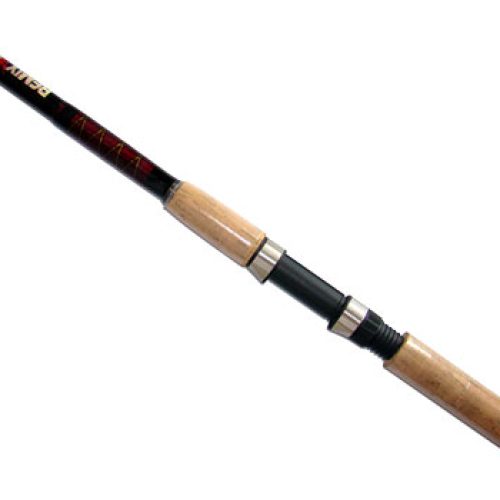 Remixon CARBOMAXX Tele 40-80gr