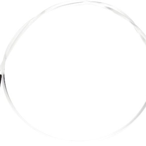 Dragon Leader Invisiline 2.5m