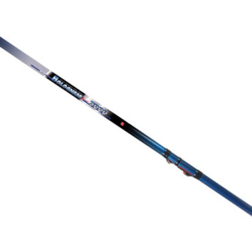 Dragon Silver Edition Bolognese