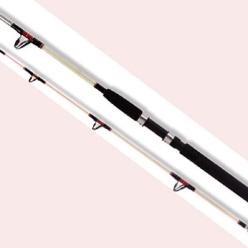 Remixon HURRICANE 30/80 lbs