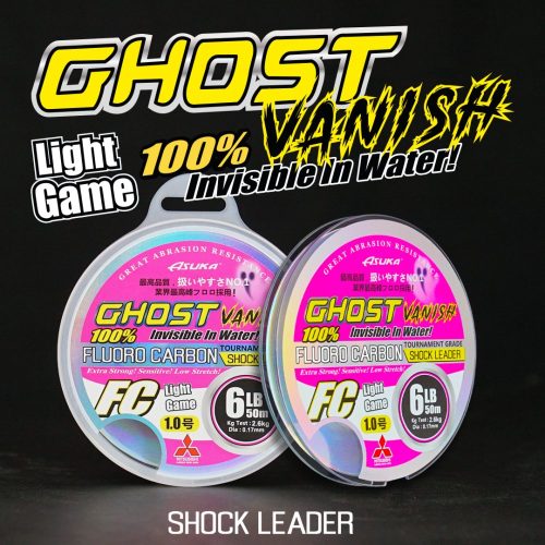 Asuka Ghost Vanish Light Game