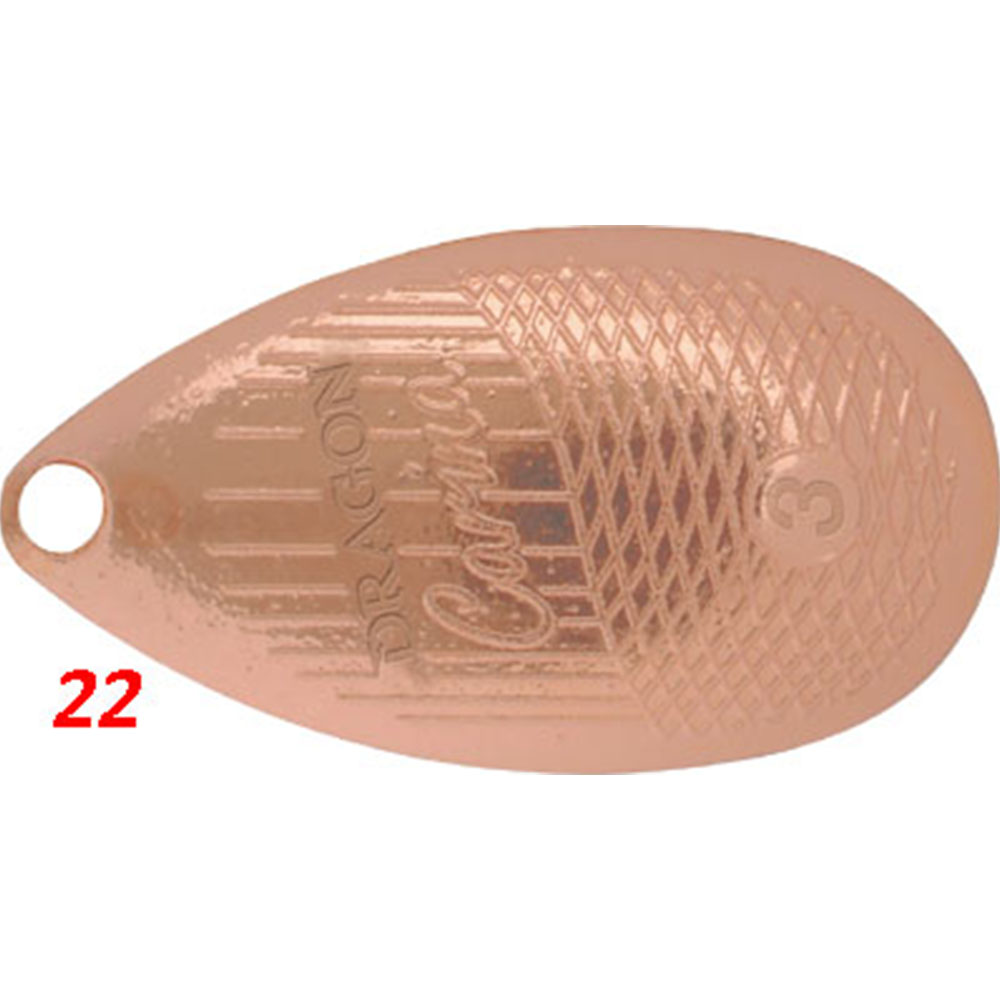 Dragon Carina No2 - Image 6