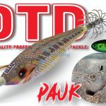DTD PAUK – “ΔΡΑΚΑΙΝΑ” 3