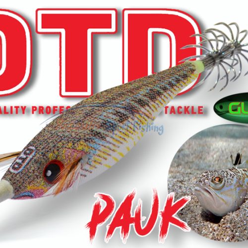 DTD PAUK – “ΔΡΑΚΑΙΝΑ”