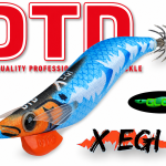 DTD X EGI 3.0 3