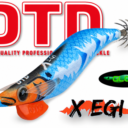 DTD X EGI 3.0