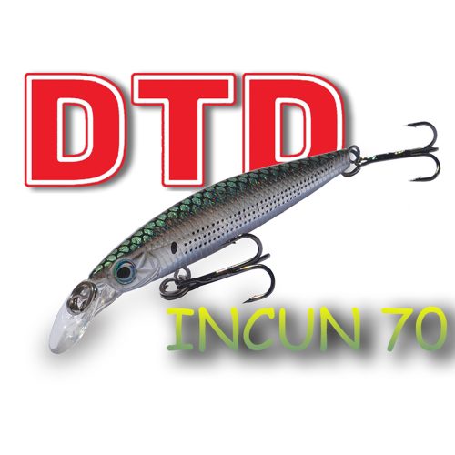 DTD INCUN 70